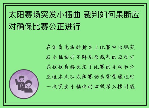 太阳赛场突发小插曲 裁判如何果断应对确保比赛公正进行